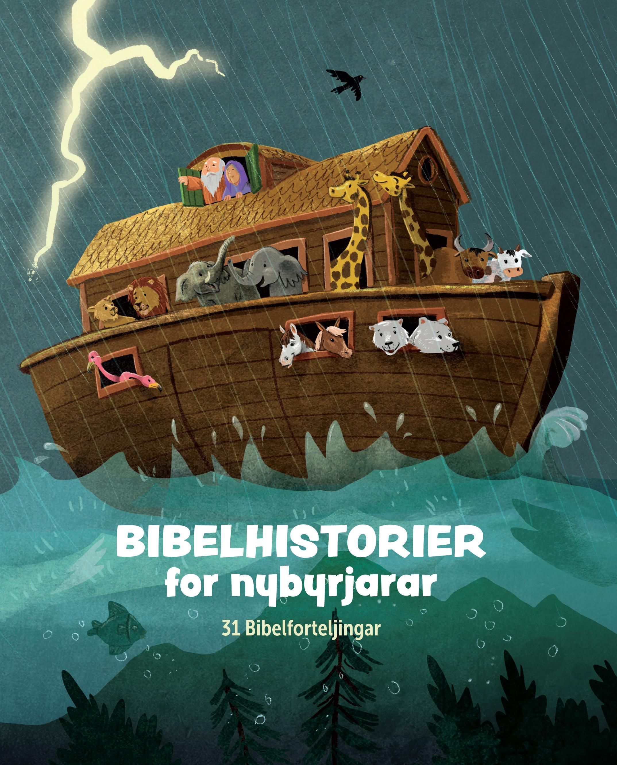 Bibelhistorier for nybyrjarar : 31 historier frå Bibelen