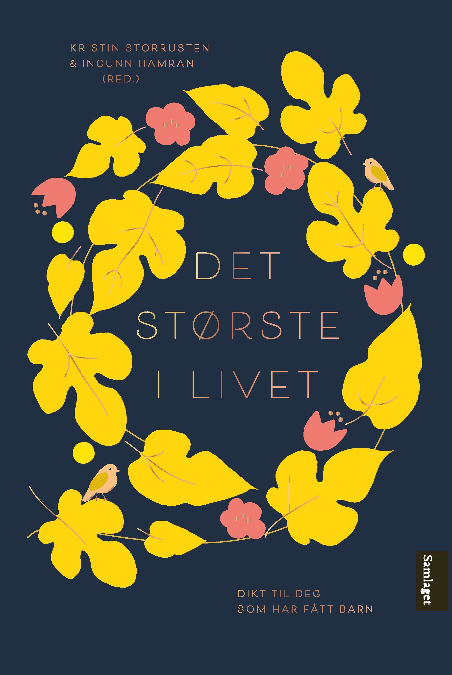 Det største i livet : dikt til deg som har fått barn