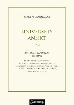 Forsidebilde av Universets ansikt : Spinoza i globaliseringsdebatten eller barokken i nåtiden : en framstilling av filosofien til Benedikt Spinoza, og hva den utsettes for i verker av Antonio Negri og Michael Hardt: "Den ville anomali", "Imperiet", "Multitude", "Labor of Dionysos"