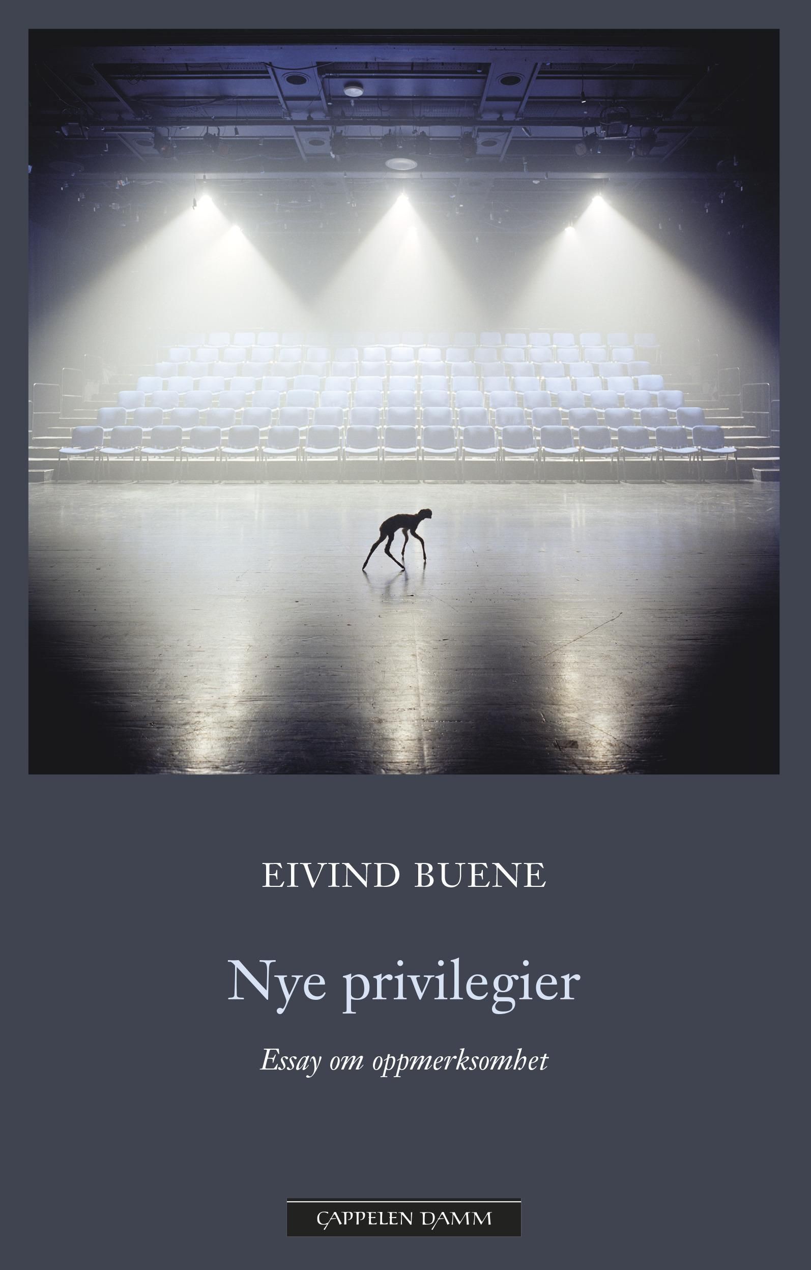 Nye privilegier : essay om oppmerksomhet