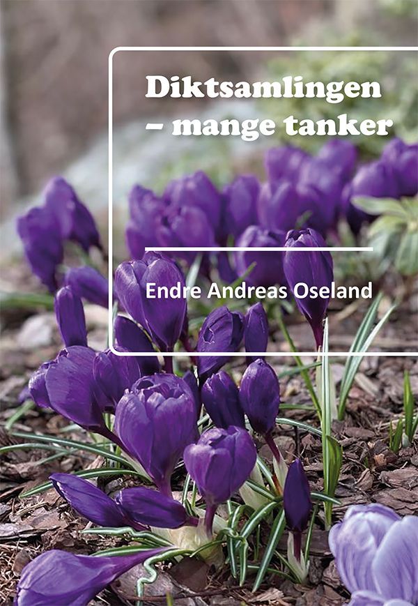 Diktsamlingen - mange tanker
