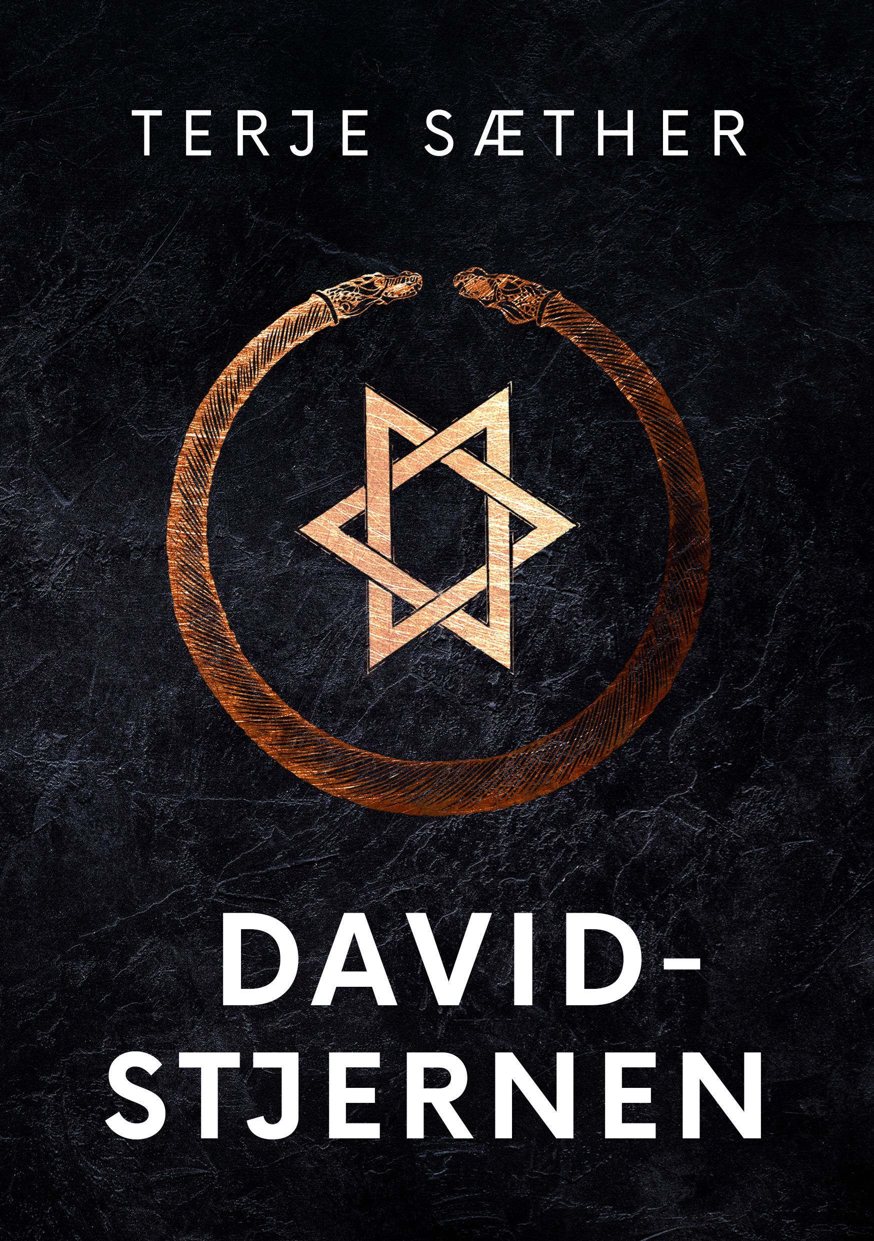Davidstjernen : spenningsroman