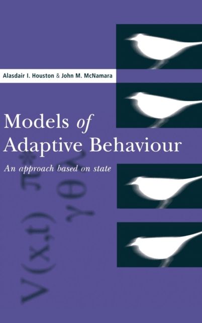 Models of Adaptive Behaviour : An Approach Based on State