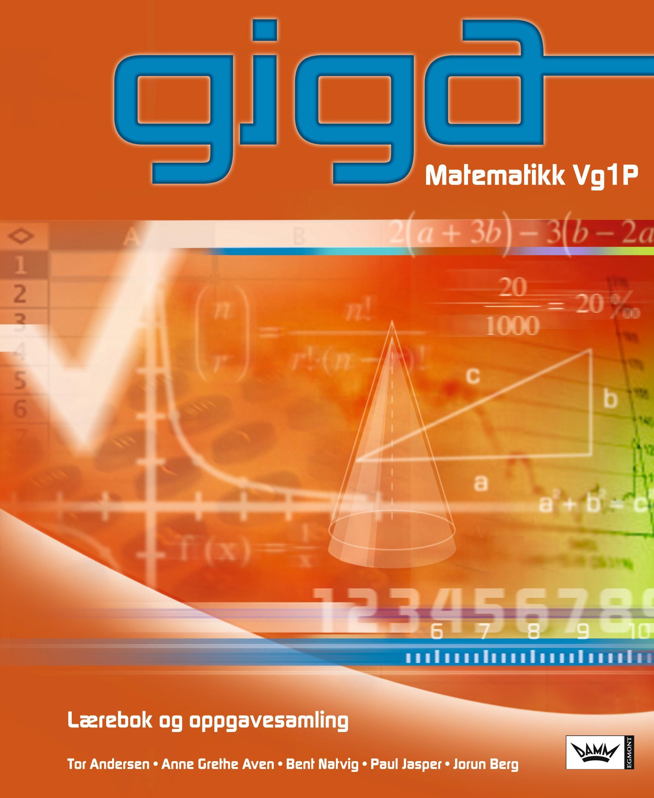 Giga : matematikk Vg1P : lærebok og oppgavesamling