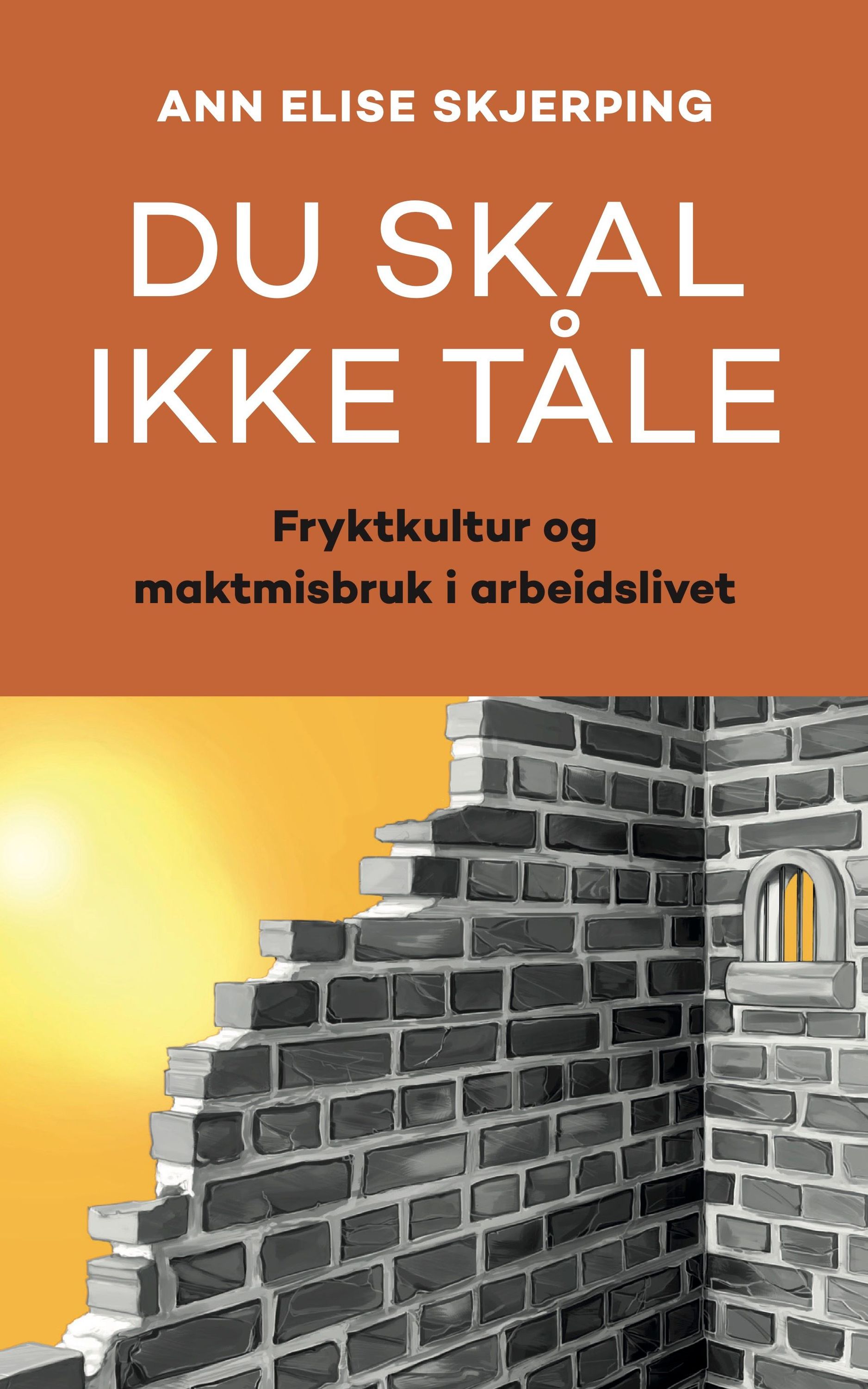 Du skal ikke tåle : fryktkultur og maktmisbruk i arbeidslivet