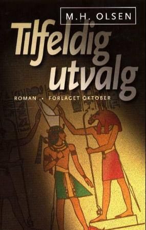 Tilfeldig utvalg : roman