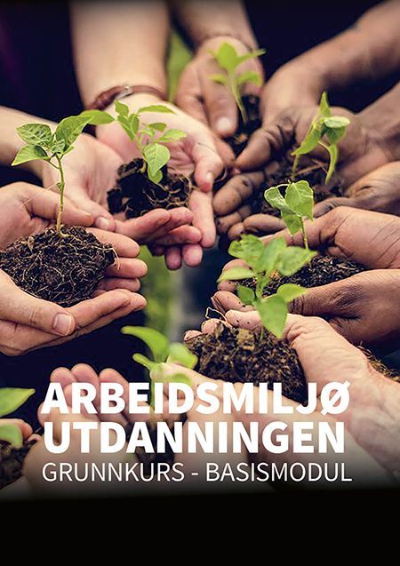 Arbeidsmiljøutdanningen : grunnkurs - basismodul