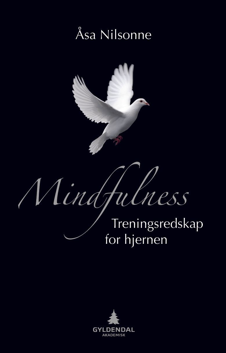 Mindfulness : treningsredskap for hjernen
