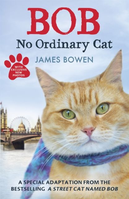 Bob : no ordinary cat