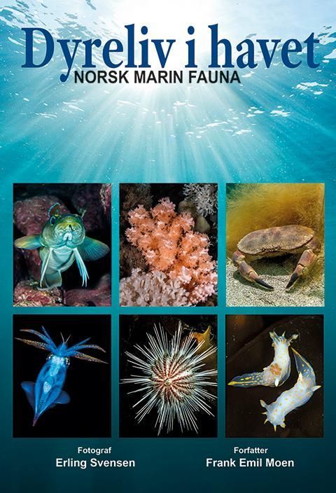 Dyreliv i havet : norsk marin fauna