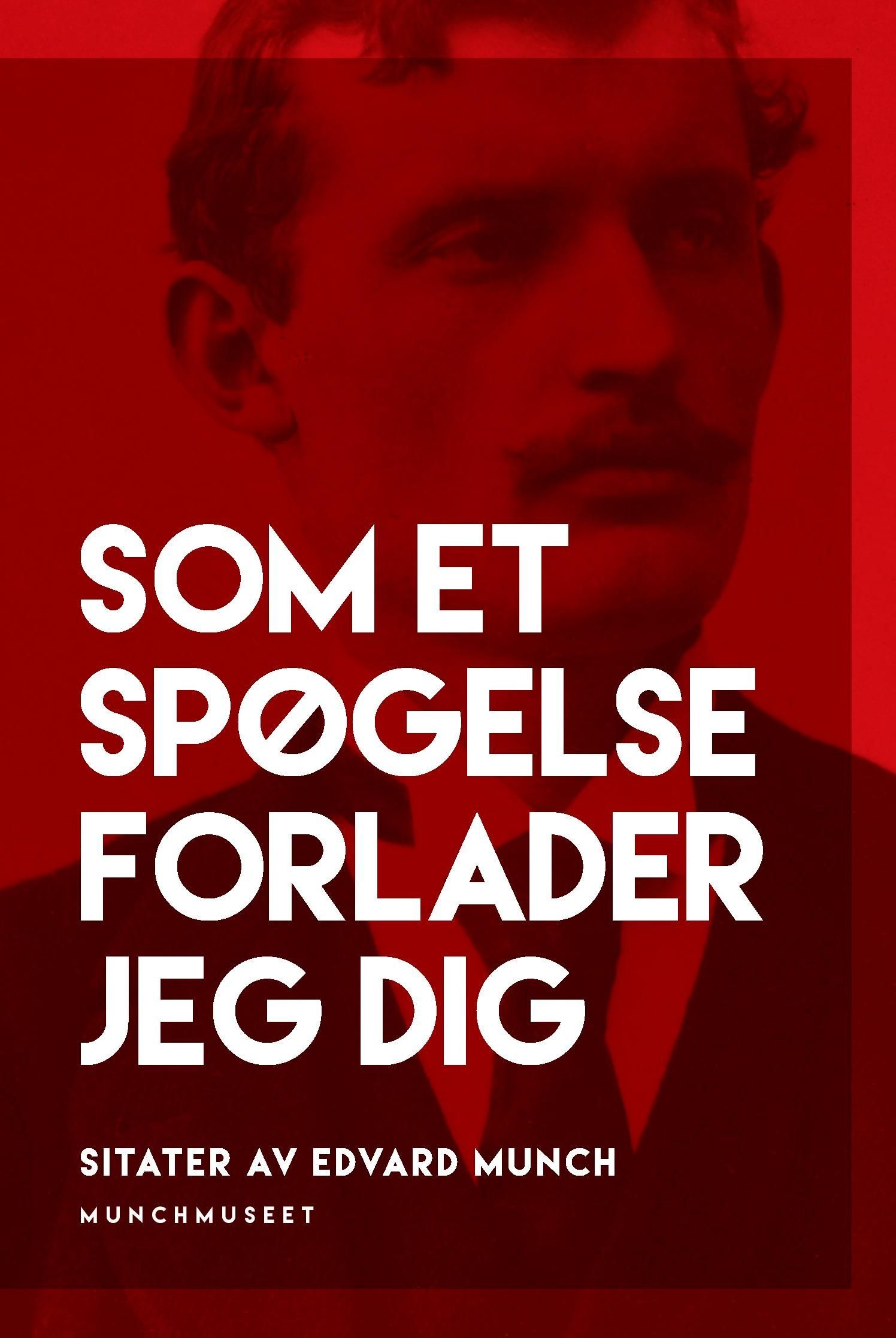 Som et spøgelse forlader jeg dig : sitater