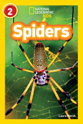 Spiders : Level 2
