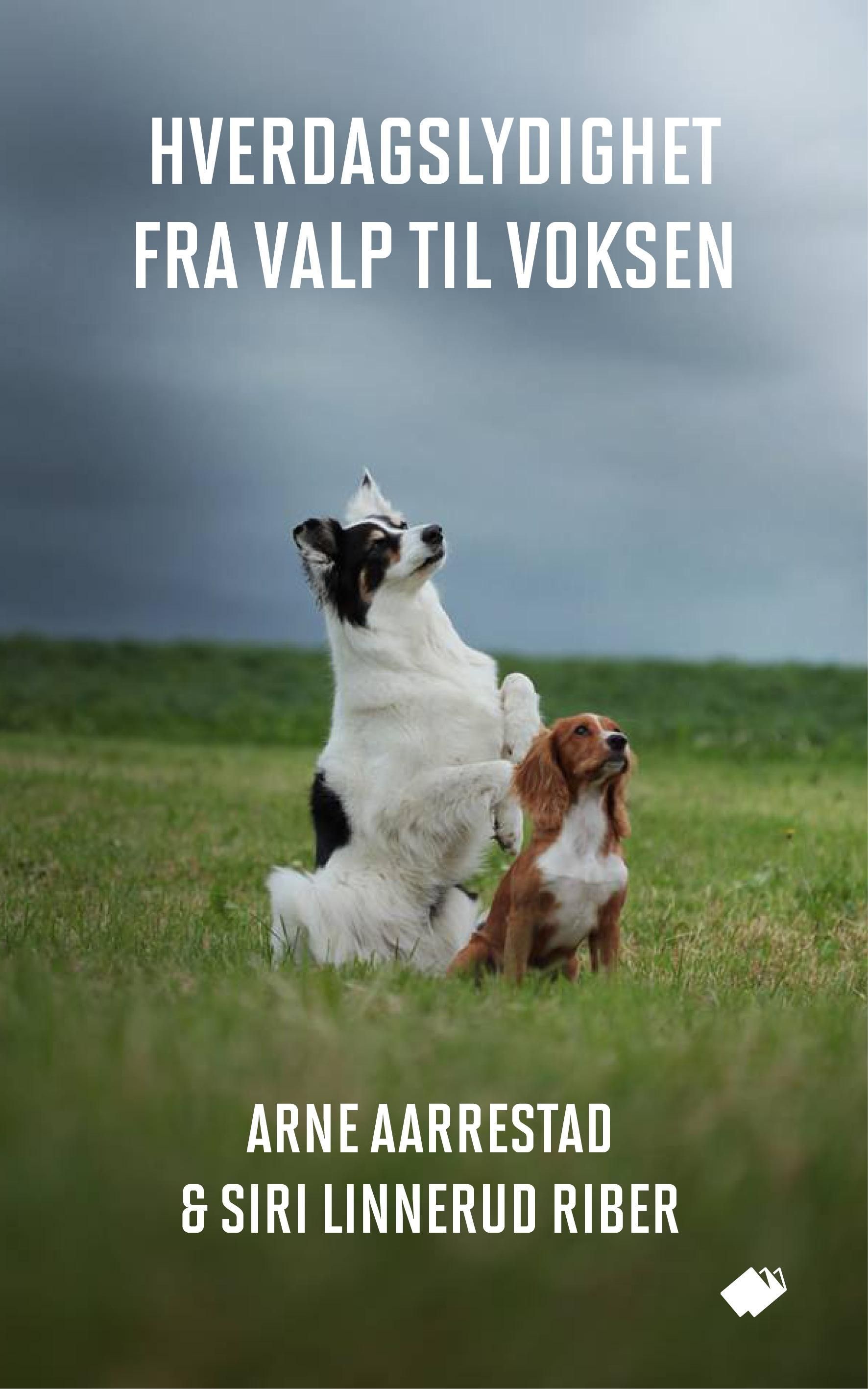 Hverdagslydighet : fra valp til voksen