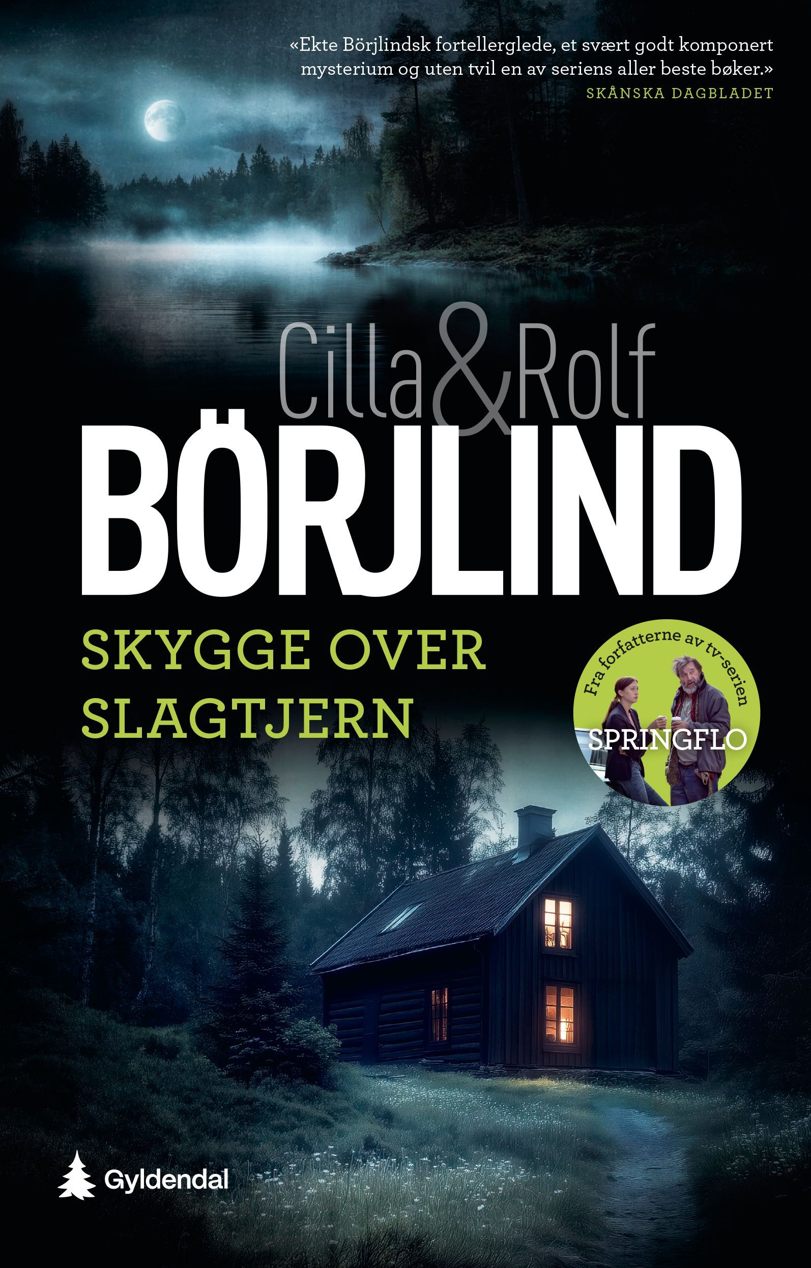 Forsidebilde av Skygge over Slagtjern