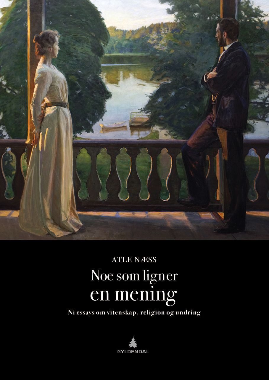 Noe som ligner en mening : ni essays om vitenskap, religion og undring