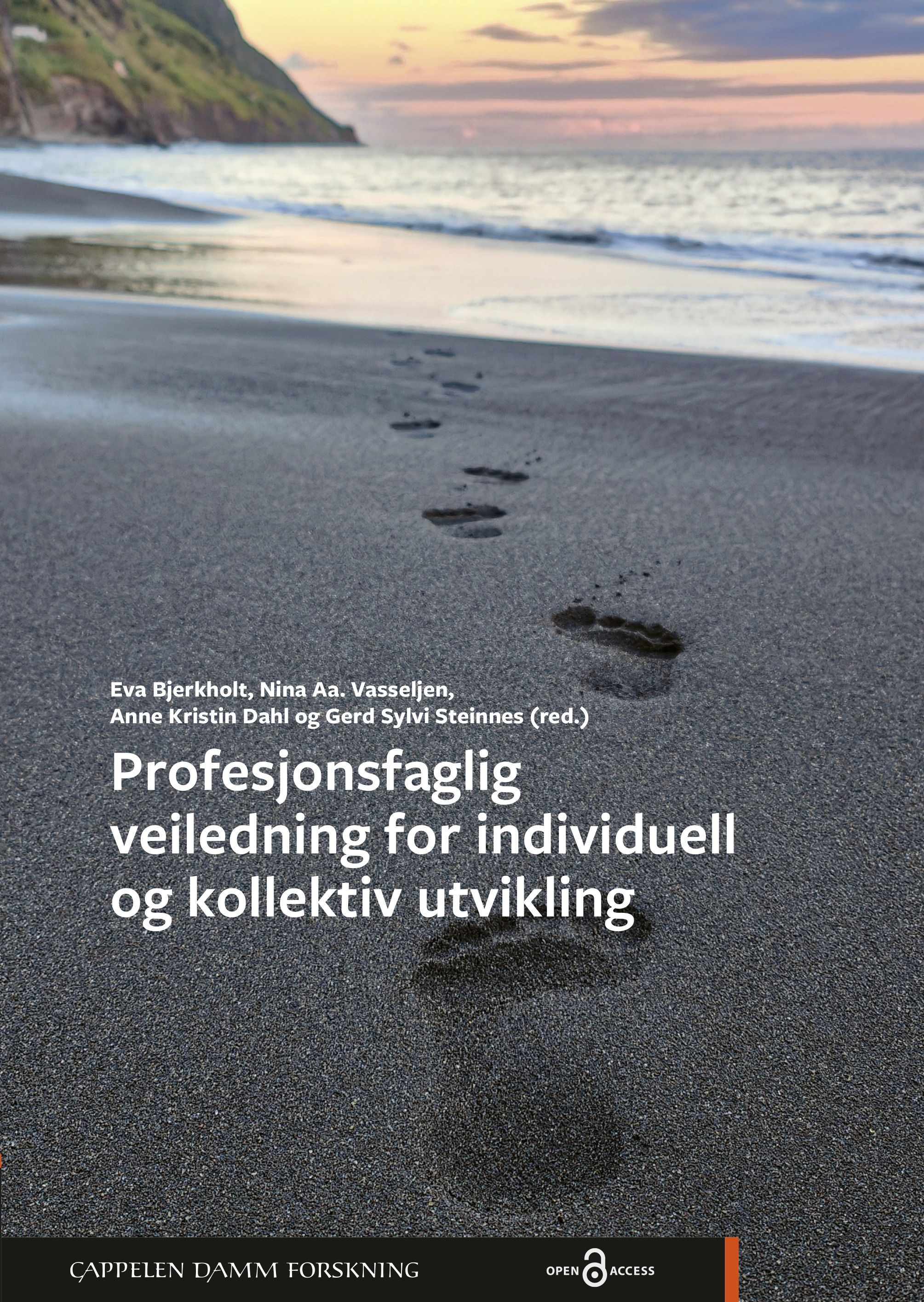 Forsidebilde av Profesjonsfaglig veiledning for individuell og kollektiv utvikling