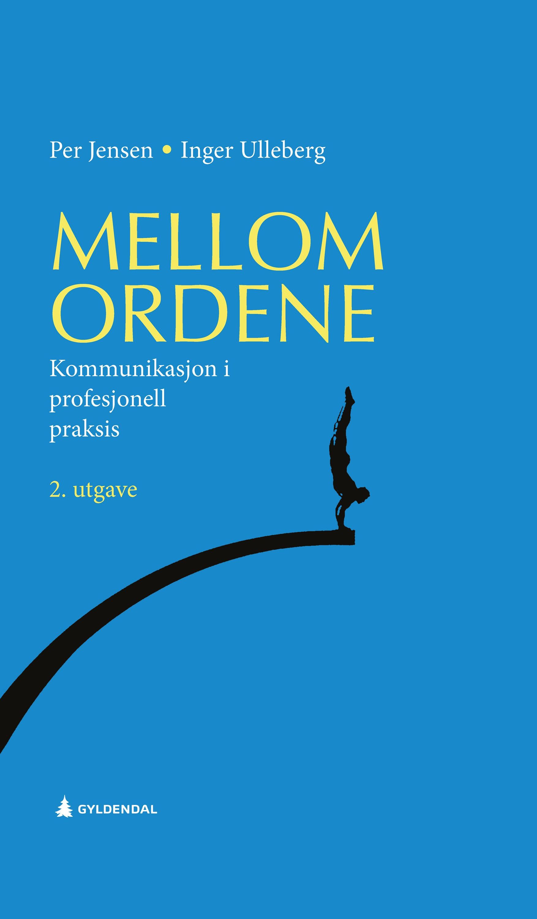 Mellom ordene : kommunikasjon i profesjonell praksis