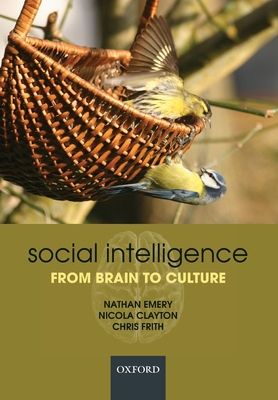 Social Intelligence : From brain to culture