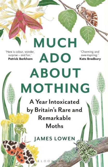 Much Ado About Mothing : A year intoxicated by Britain’s rare and remarkable moths