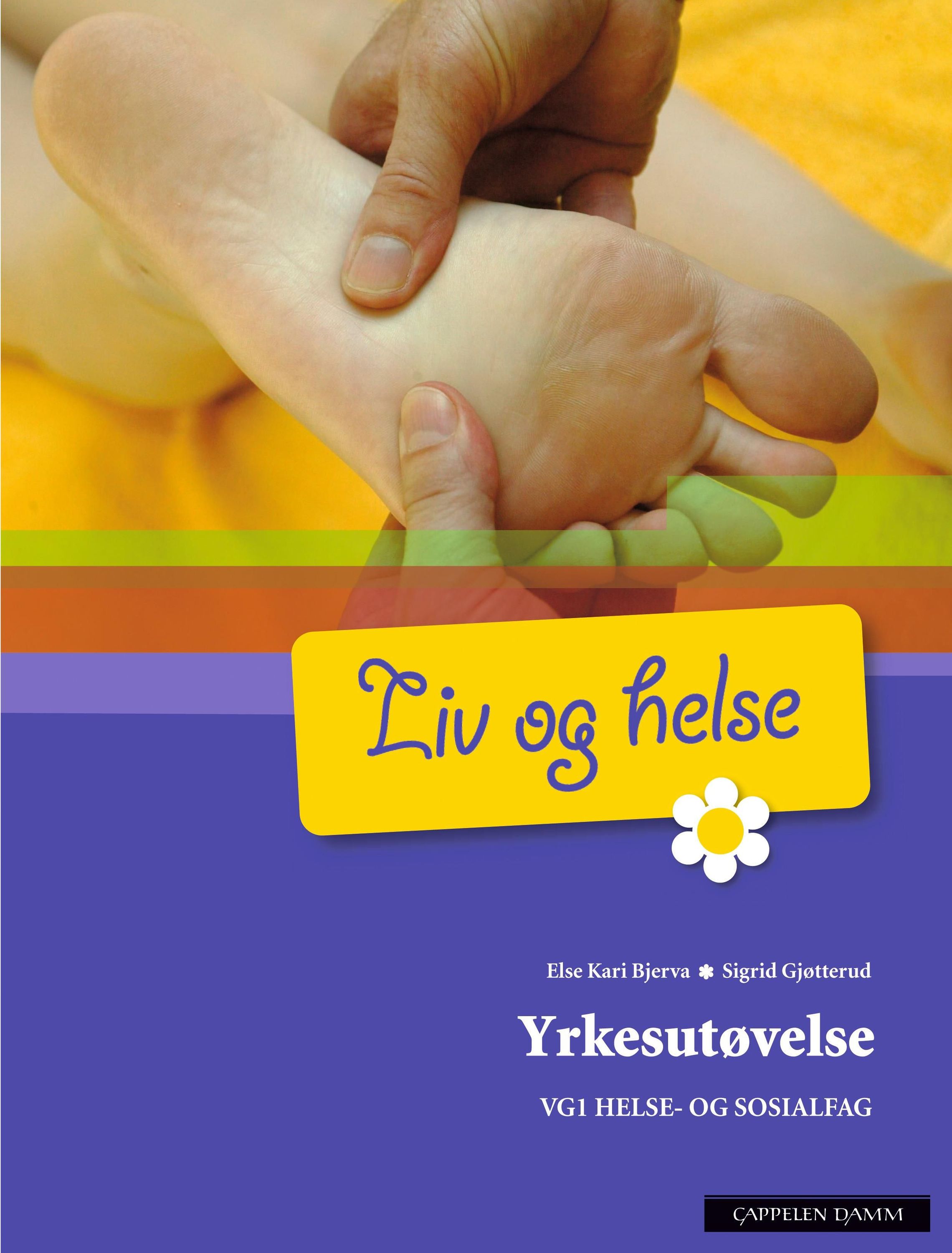 Liv og helse : yrkesutøvelse : felles programfag for helse- og sosialfag, vg1