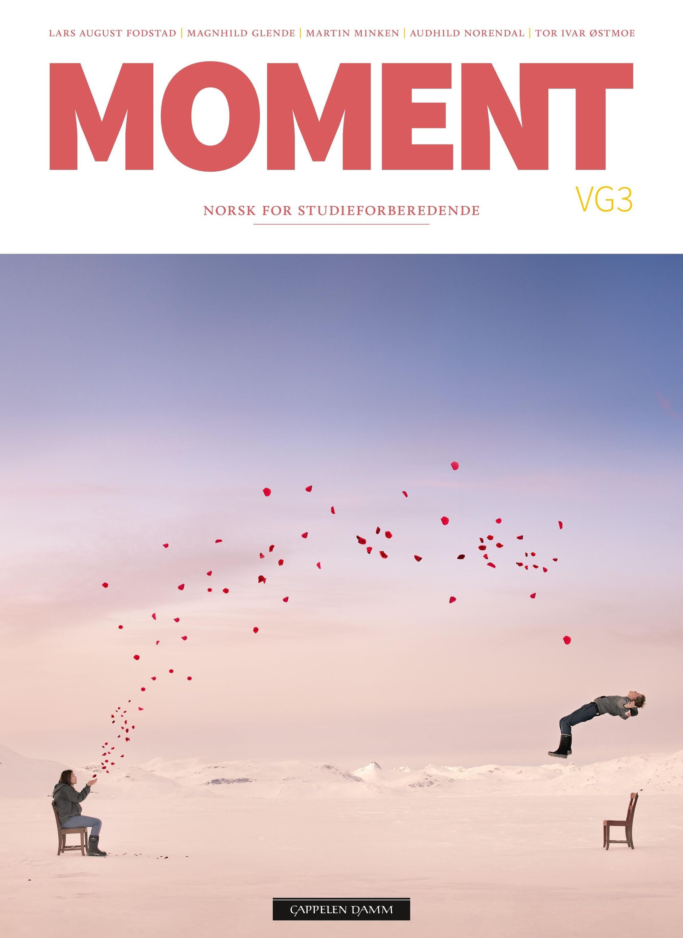 Moment vg3 : norsk for studieforberedende