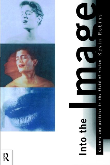 Into the Image : Culture and Politics in the Field of Vision