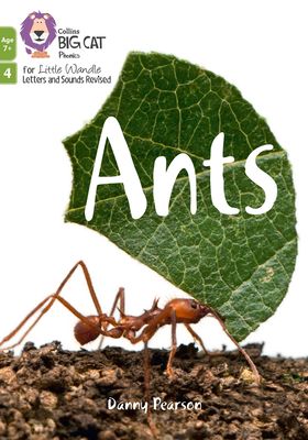Ants : Phase 4 Set 2