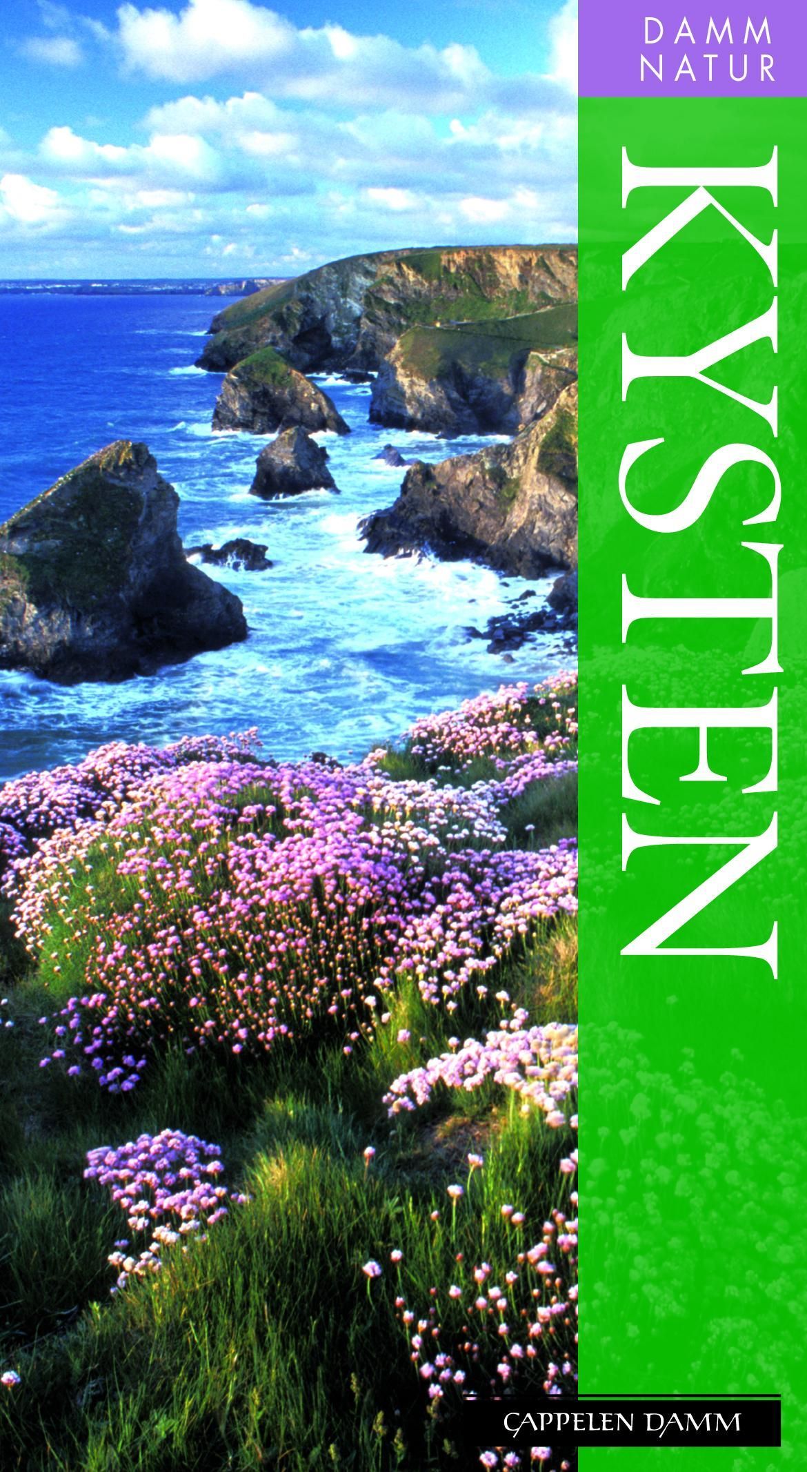 Kysten