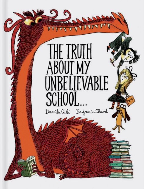 The truth about my unbelievable school