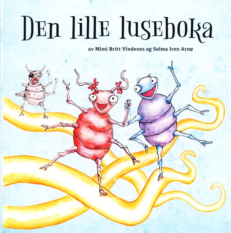Dihkkegirjásj