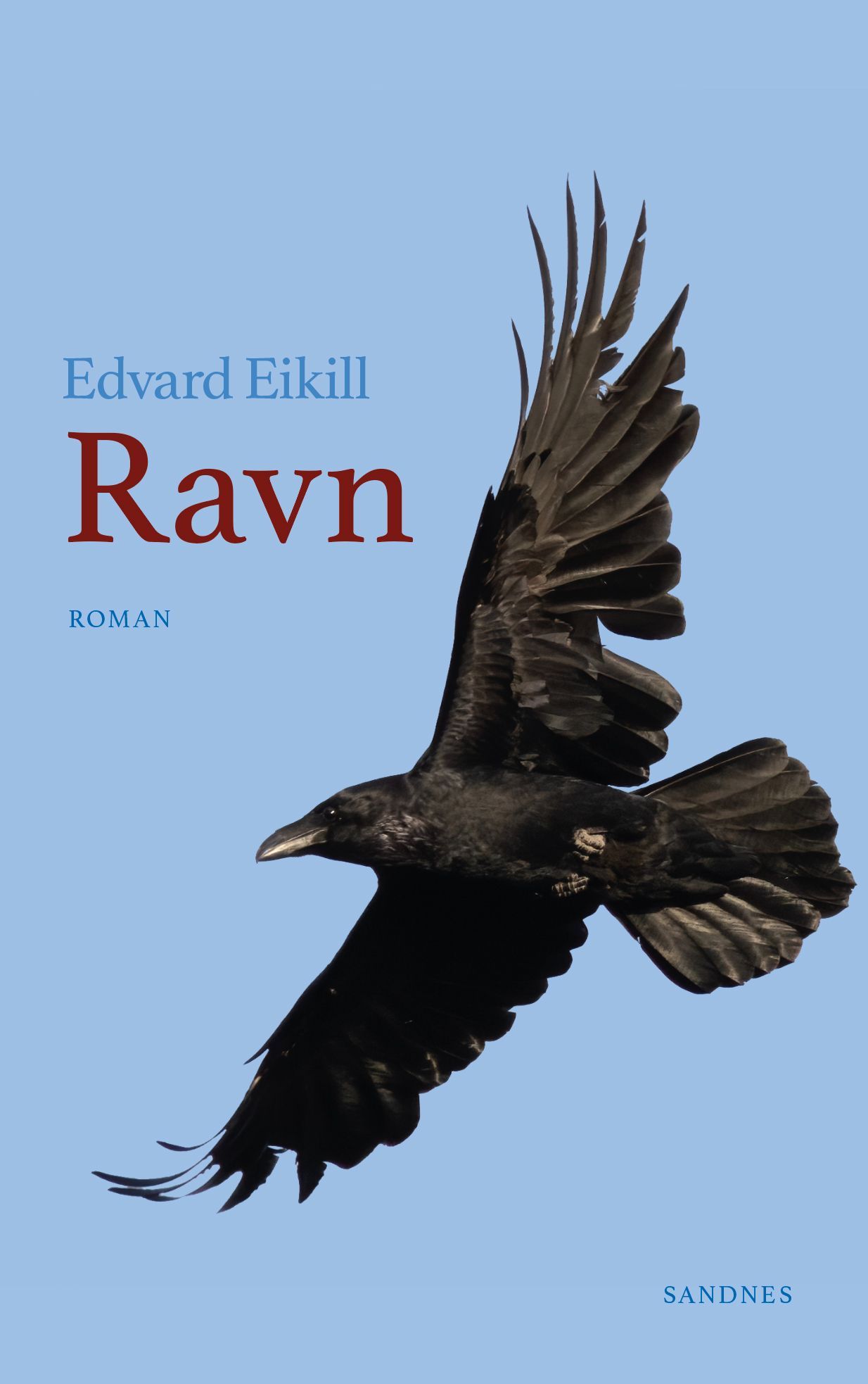 Ravn : roman