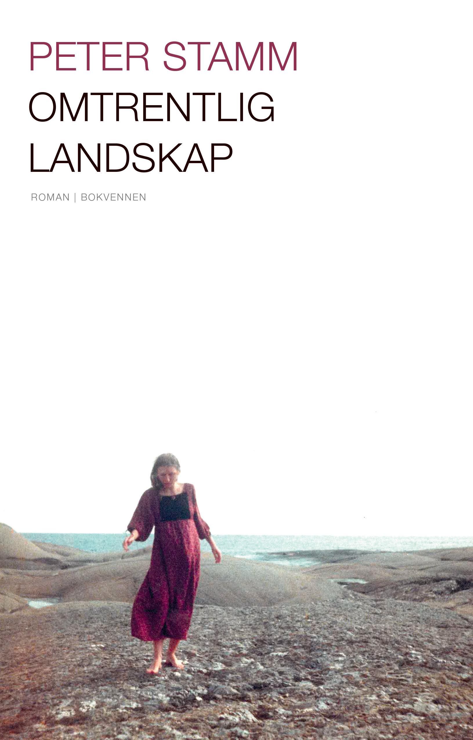 Omtrentlig landskap : roman