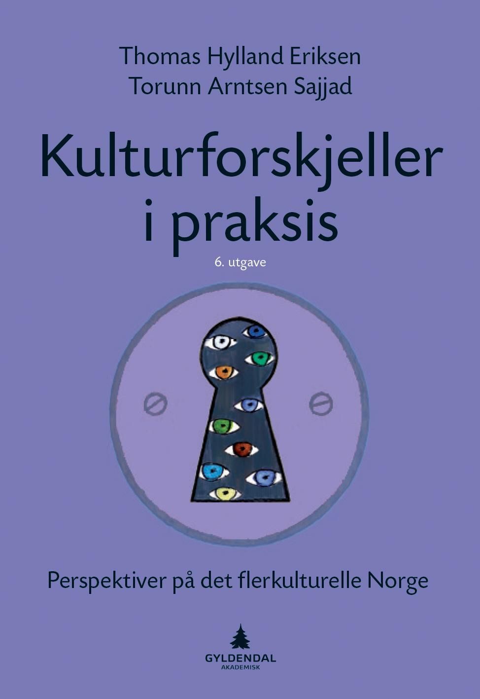 Kulturforskjeller i praksis : perspektiver på det flerkulturelle Norge