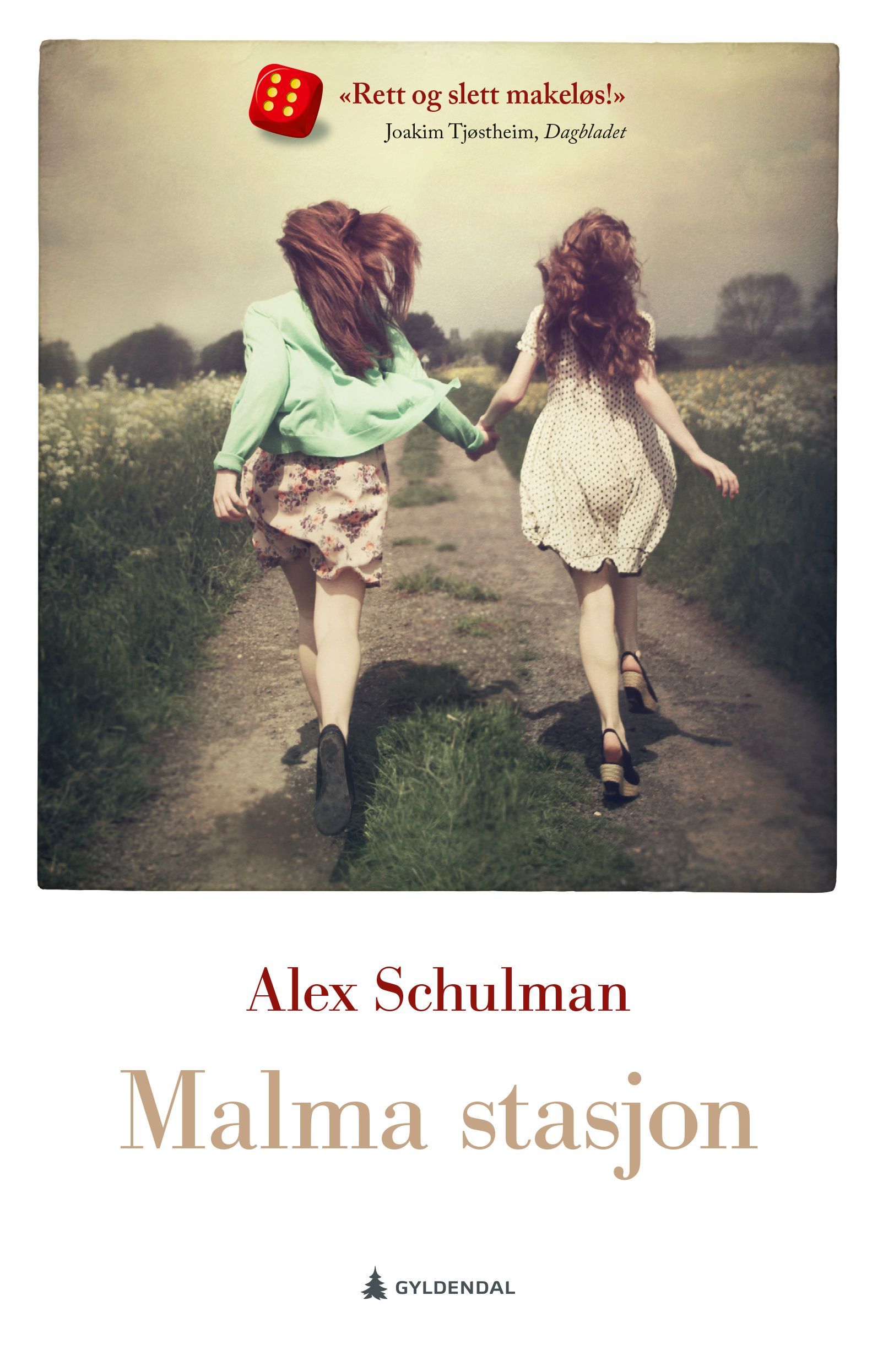 Malma stasjon : roman