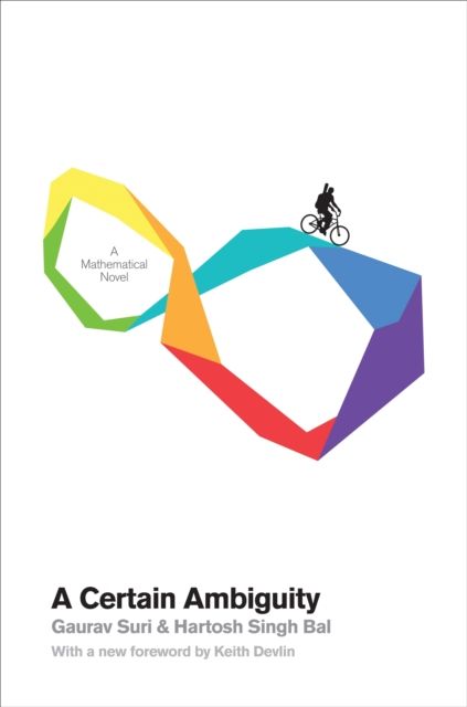 A Certain Ambiguity : A Mathematical Novel