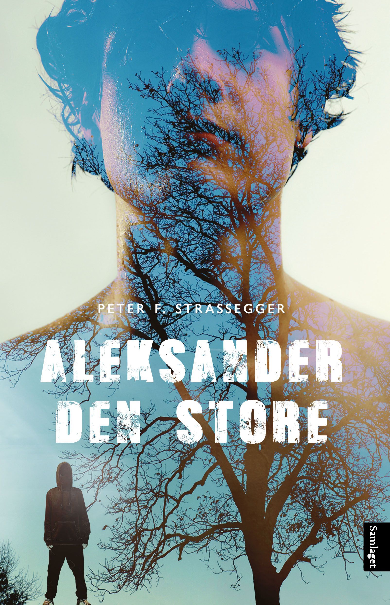 Aleksander den store : roman