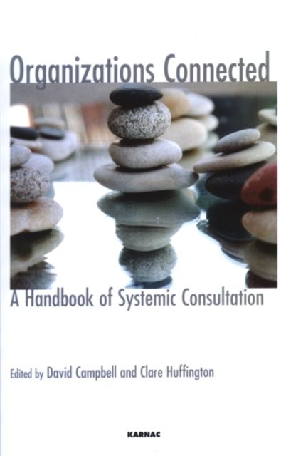Organizations Connected : A Handbook of Systemic Consultation