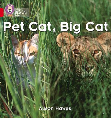 Pet Cat, Big Cat : Band 02a/Red a