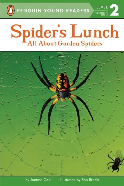 Spider's Lunch : All About Garden Spiders