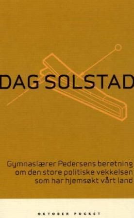 Gymnaslærer Pedersens beretning om den store politiske vekkelsen som har hjemsøkt vårt land : roman
