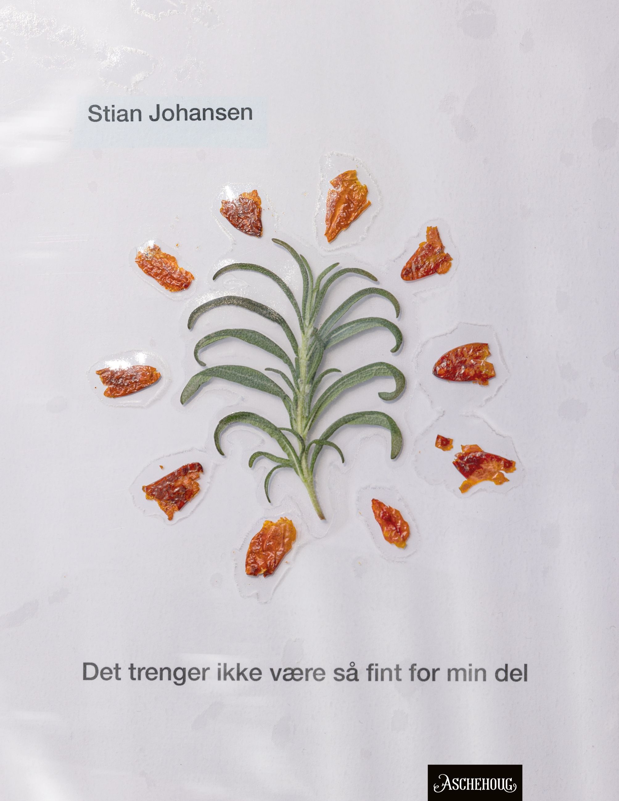 Det trenger ikke være så fint for min del : dikt