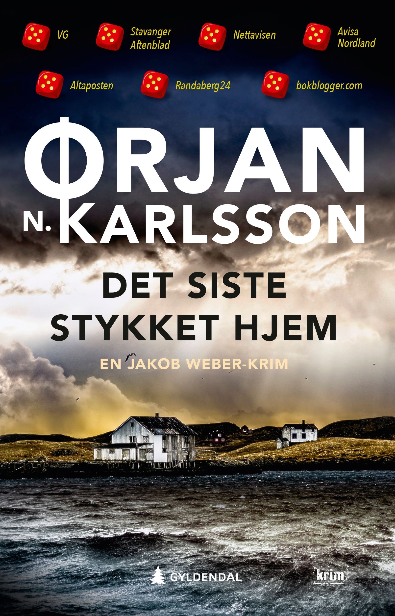 Det siste stykket hjem : kriminalroman