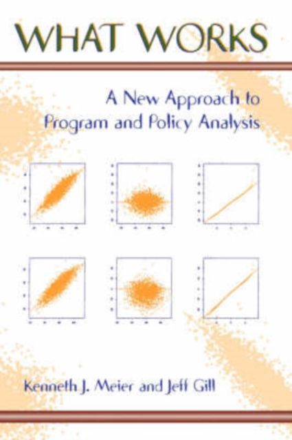 What Works : A New Approach To Program And Policy Analysis