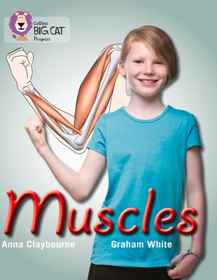 Muscles : Band 03 Yellow/Band 16 Sapphire