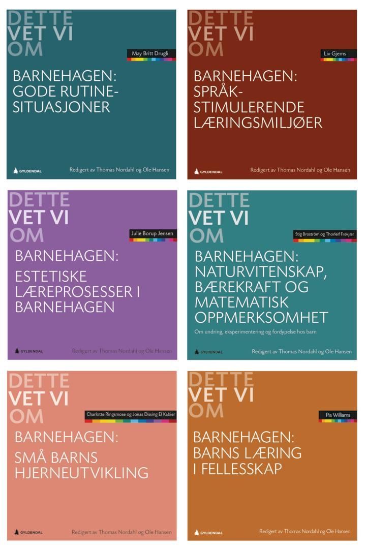 Dette vet vi om barnehagen : samlepakke 2
