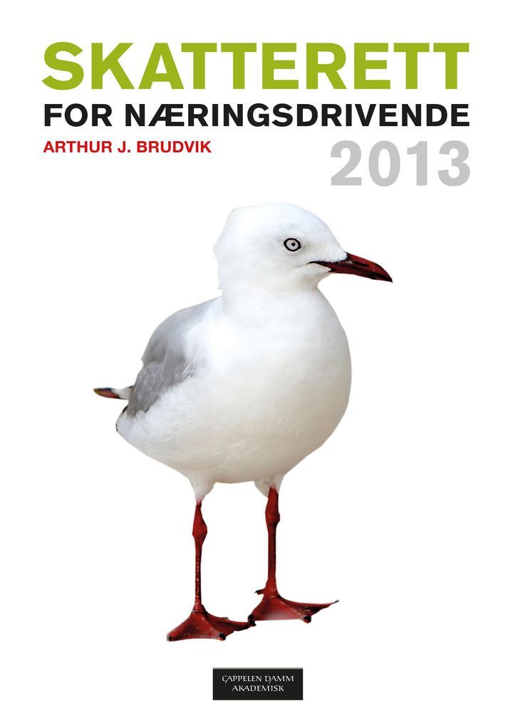 Skatterett for næringsdrivende