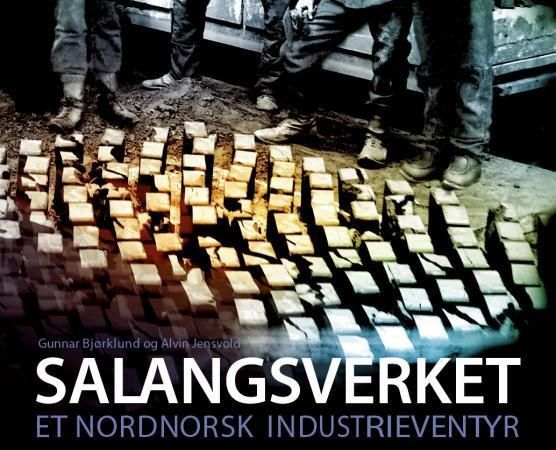 Salangsverket : et nordnorsk industrieventyr