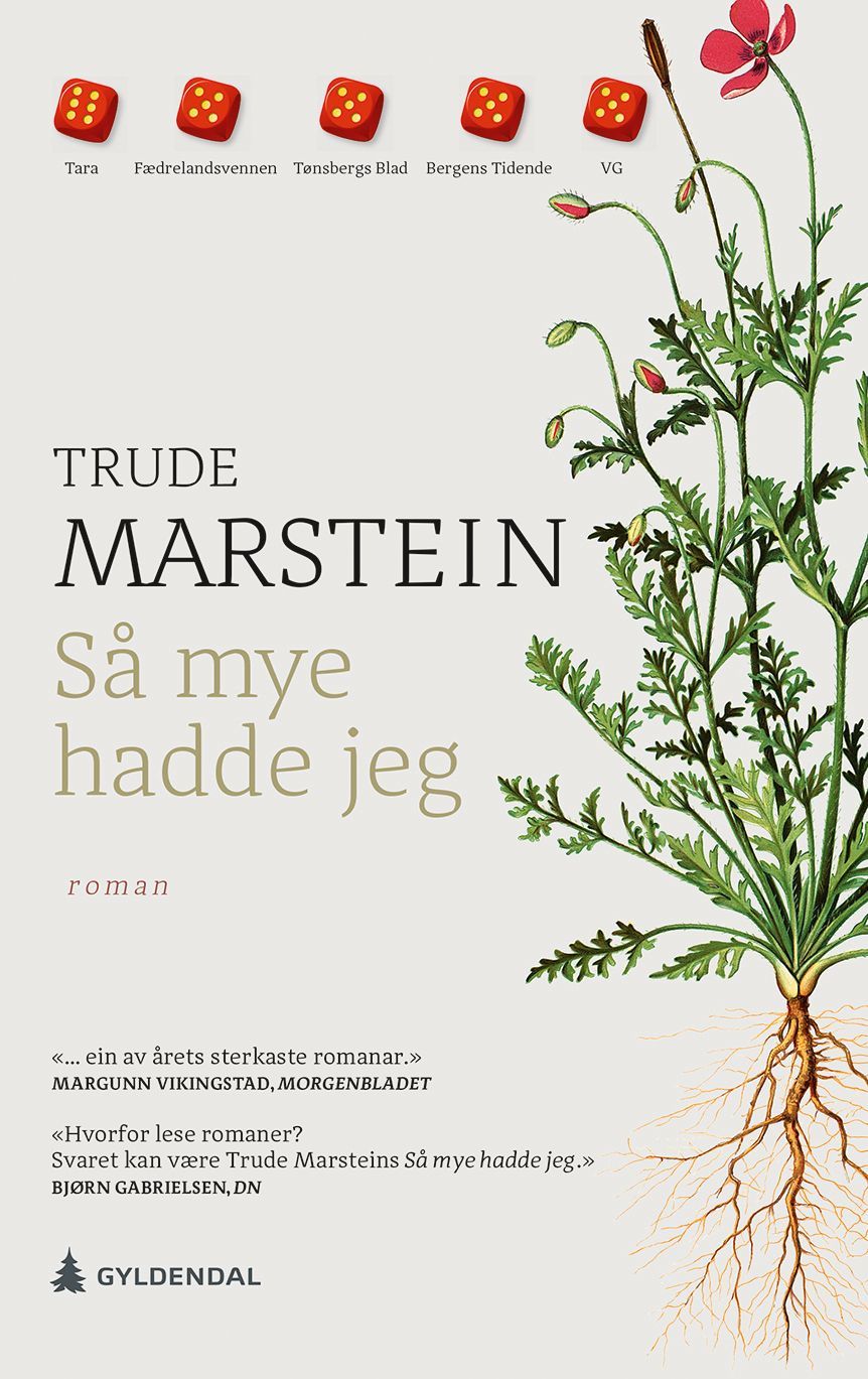 Så mye hadde jeg : roman