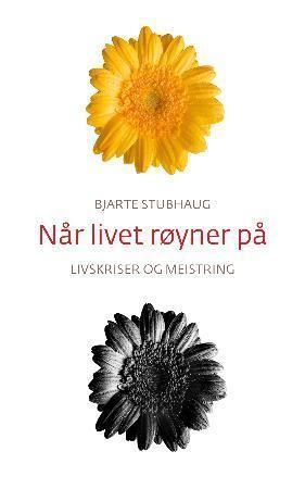 Når livet røyner på : livskriser og meistring