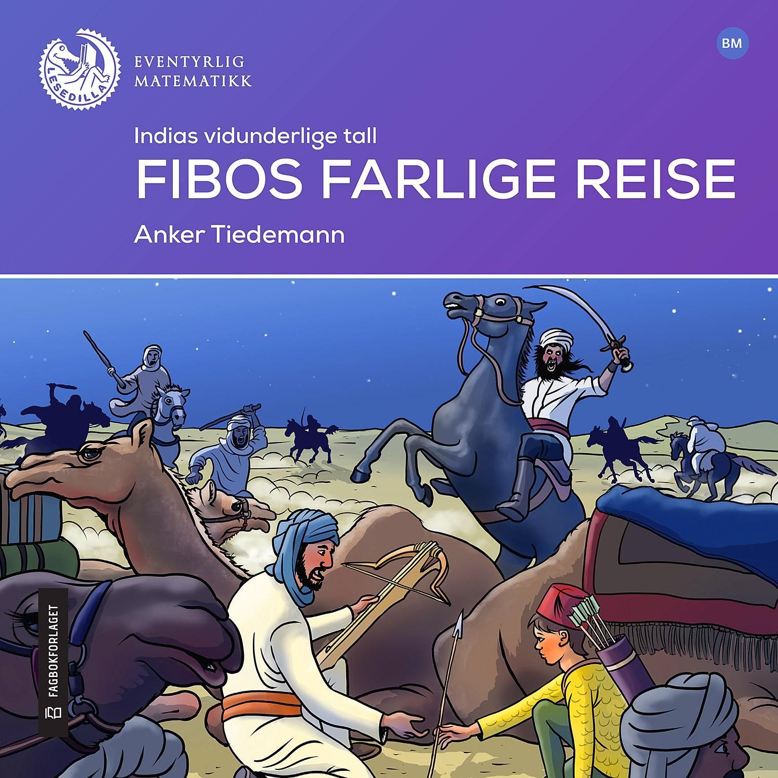 Fibos farlige reise : Indias vidunderlige tall